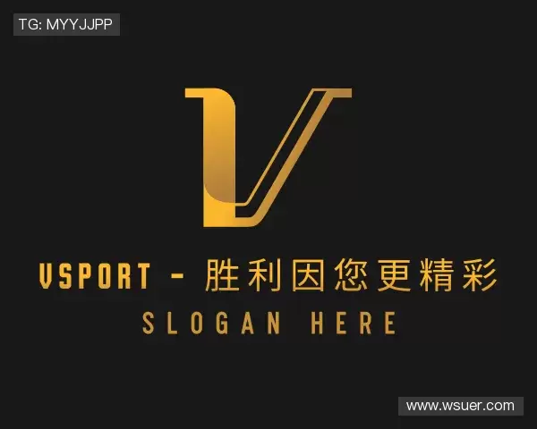 认识VSport
